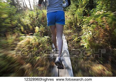 A young woman runs on wooden boards through a forest; Homer, Alaska, United States of America View Large Photo Image Stock Photograph - A young woman runs on wooden boards through a forest; Homer, Alaska, United States of America. Fotosearch