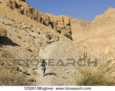 Stock Photograph - A young woman walks on a trail through the rugged hills of Ein Gedi Nature Reserve, Dead Sea District; South Region, Israel. Fotosearch