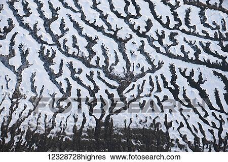 Stock Photograph - Aerial view of the landscape in winter with unique branching patterns, Kachemak Bay; Alaska, United States of America. Fotosearch
