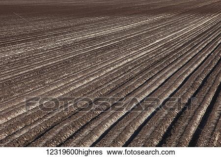 Agriculture View Large Photo Image Stock Photograph - Agriculture. Fotosearch