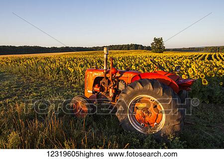 Agriculture View Large Photo Image Stock Photograph - Agriculture. Fotosearch