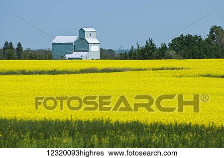Agriculture View Large Photo Image Stock Photograph - Agriculture. Fotosearch