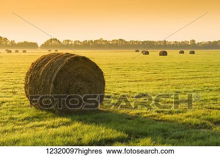 Stock Photograph - Agriculture. Fotosearch