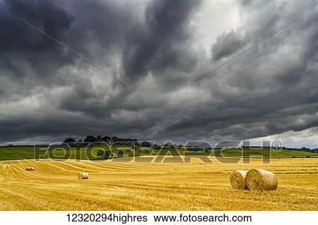 Agriculture View Large Photo Image Stock Photograph - Agriculture. Fotosearch