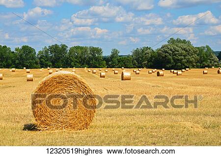 Stock Photograph - Agriculture. Fotosearch