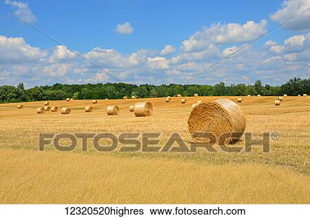 Stock Photograph - Agriculture. Fotosearch