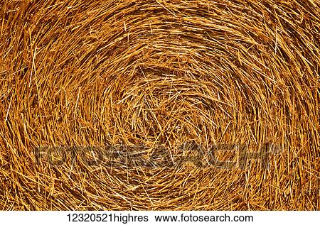 Stock Photograph - Agriculture. Fotosearch