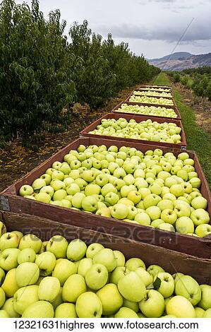 Stock Photograph - Agriculture. Fotosearch