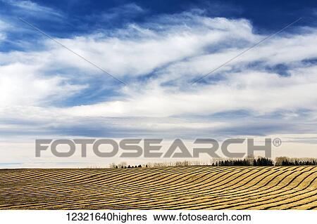 Stock Photograph - Agriculture. Fotosearch