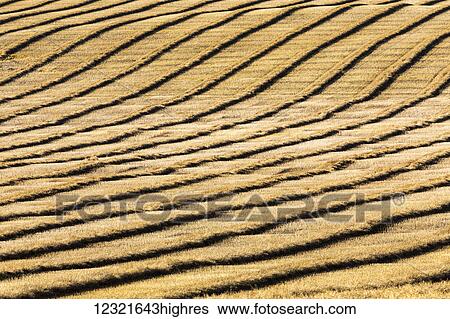 Stock Photograph - Agriculture. Fotosearch