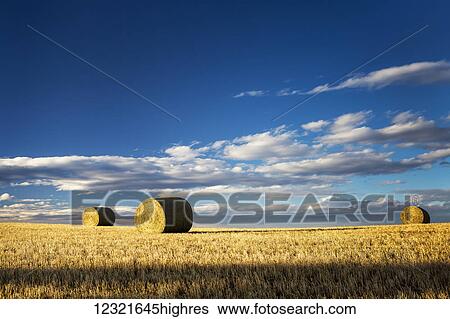 Stock Photograph - Agriculture. Fotosearch