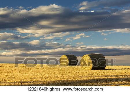 Agriculture View Large Photo Image Stock Photograph - Agriculture. Fotosearch