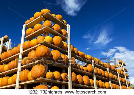 Stock Photograph - Agriculture. Fotosearch