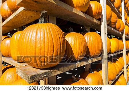 Stock Photograph - Agriculture. Fotosearch