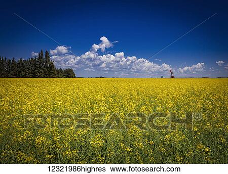 Agriculture View Large Photo Image Stock Photograph - Agriculture. Fotosearch