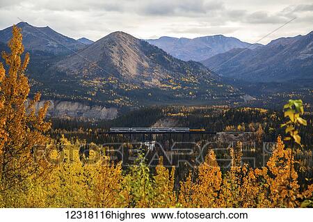 Stock Photograph - Alaska Railroad passenger train passes over the Riley Creek Bridge in autumn, Denali National Park, Interior Alaska, USA. Fotosearch