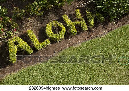 Stock Photograph - Aloha written in plants; Wailea, Maui, Hawaii, United States of America. Fotosearch
