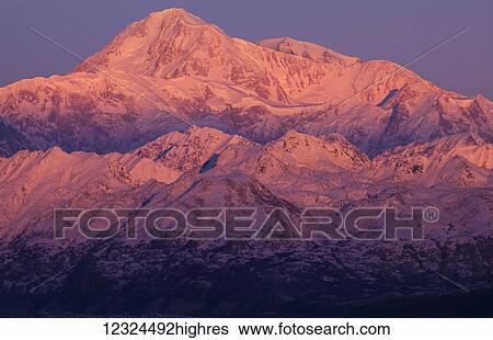 Stock Photograph - Alpenglow on Denali at sunrise, viewed from Denali Viewpoint South along the Parks Highway in early winter; Alaska, United States of America. Fotosearch