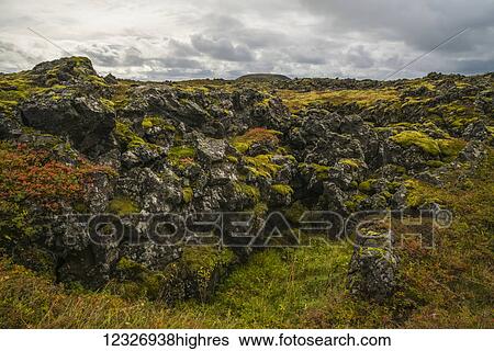 Ancient lava covered in moss; Iceland View Large Photo Image Stock Photograph - Ancient lava covered in moss; Iceland. Fotosearch