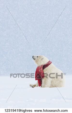 Stock Photograph - Animals. Fotosearch