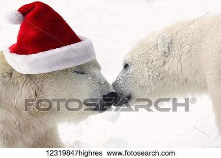 Stock Photograph - Animals. Fotosearch