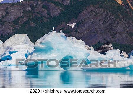 Animals View Large Photo Image Stock Photograph - Animals. Fotosearch
