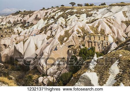 Stock Photograph - Animals. Fotosearch