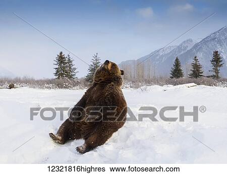 Animals View Large Photo Image Stock Photograph - Animals. Fotosearch