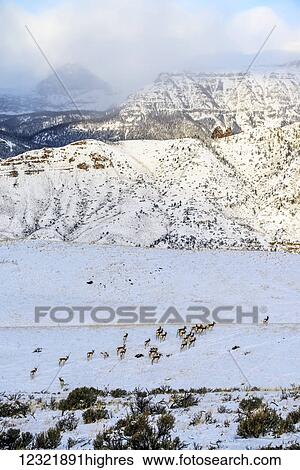 Animals View Large Photo Image Stock Photograph - Animals. Fotosearch