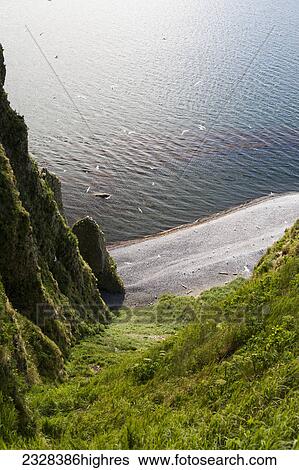 Stock Photograph - Animals. Fotosearch