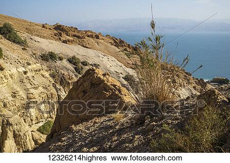 Stock Photograph - Arid landscape and the Dead Sea; South District, Israel. Fotosearch