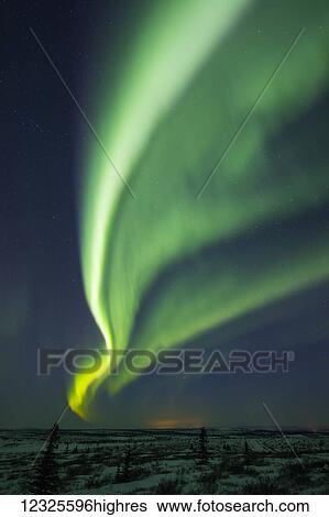 Stock Photograph - Aurora borealis rises high in the sky on a cold winter night; Alaska, United States of America. Fotosearch