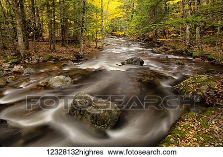 Stock Photograph - Autumn along Swan Brook; East Wentworth, Nova Scotia, Canada. Fotosearch
