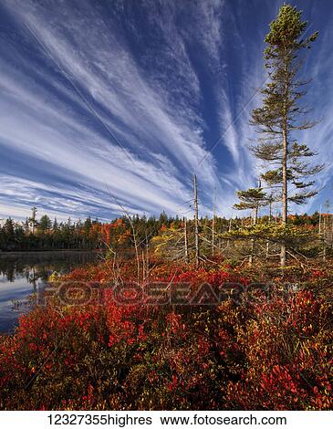 Autumn coloured foliage at Jacks Lake; Bedford, Nova Scotia, Canada View Large Photo Image Stock Photograph - Autumn coloured foliage at Jacks Lake; Bedford, Nova Scotia, Canada. Fotosearch