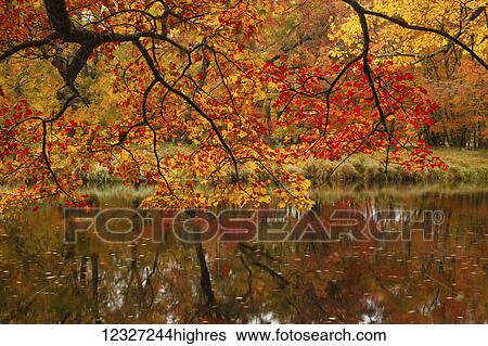 Stock Photograph - Autumn colours along the Mersey River in Kejimkujik National Park; Nova Scotia, Canada. Fotosearch