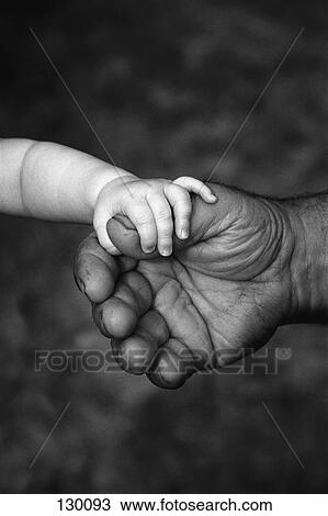 Stock Image - Baby's hand holding on to rough adult hand. Fotosearch