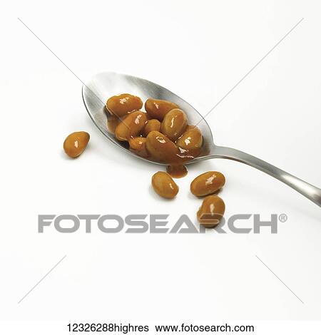 Baked beans on a spoon against a white background View Large Photo Image Stock Photograph - Baked beans on a spoon against a white background. Fotosearch