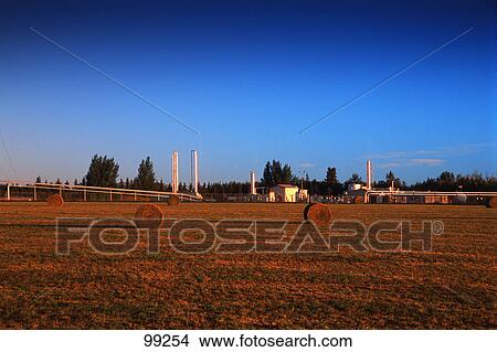 Picture - Bales of hay in field with pumping station in background. Fotosearch