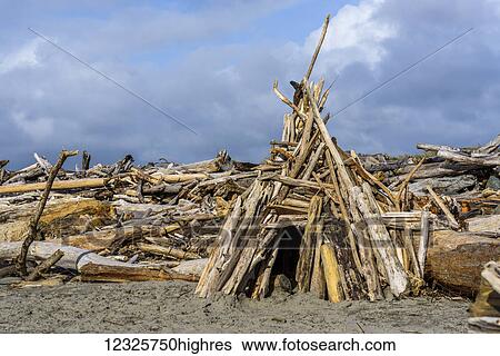 Stock Photograph - Beach dwellings pop up along the Oregon Coast; Bandon, Oregon, United States of America. Fotosearch