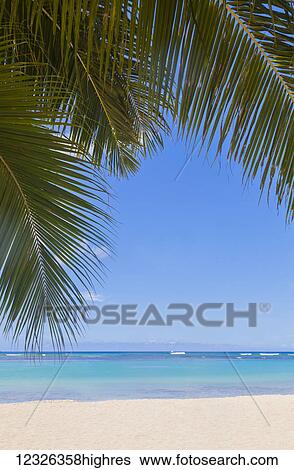 Stock Photograph - Beautiful clear day on a white sandy beach with coconut palm tree fronds hanging above; Honolulu, Oahu, Hawaii, United States of America. Fotosearch