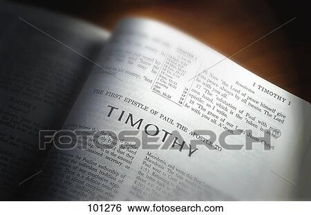 Bible open to First Timothy View Large Photo Image Stock Photograph - Bible open to First Timothy. Fotosearch