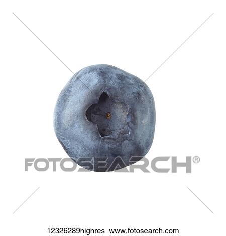 Stock Photograph - Blueberry on a white background. Fotosearch