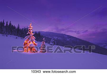 Stock Image - Christmas tree. Fotosearch
