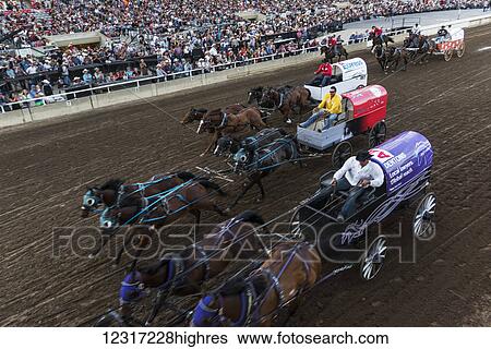 Stock Photograph - Chuckwagon race, Lakeview Calgary Stampede Event; Calgary, Alberta, Canada. Fotosearch