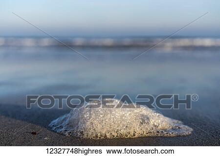 Close-up of a small mound of foam on the wet sand with a view of the surf, water and horizon; Bamburgh, Northumberland, England View Large Photo Image Stock Photograph - Close-up of a small mound of foam on the wet sand with a view of the surf, water and horizon; Bamburgh, Northumberland, England. Fotosearch