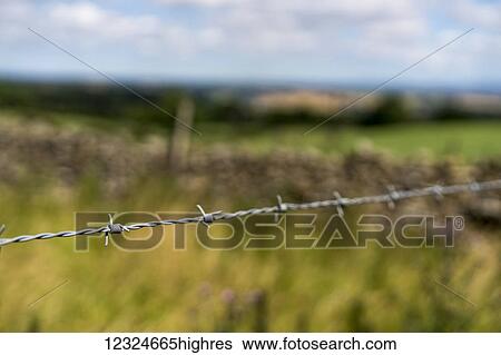 Stock Photograph - Close-up of the barbed wire on a fence; North Yorkshire, England. Fotosearch