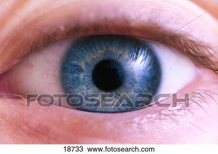 Stock Image - Closeup of blue eye. Fotosearch