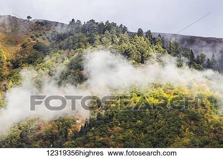 Stock Photograph - Clouds in the forested valleys between Mestia and Ushguli, Upper Svaneti; Samegrelo-Zemo Svaneti, Georgia. Fotosearch