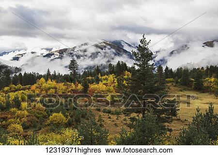 Stock Photograph - Clouds in the forested valleys between Mestia and Ushguli, Upper Svaneti; Samegrelo-Zemo Svaneti, Georgia. Fotosearch