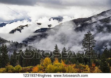 Stock Photograph - Clouds in the forested valleys between Mestia and Ushguli, Upper Svaneti; Samegrelo-Zemo Svaneti, Georgia. Fotosearch